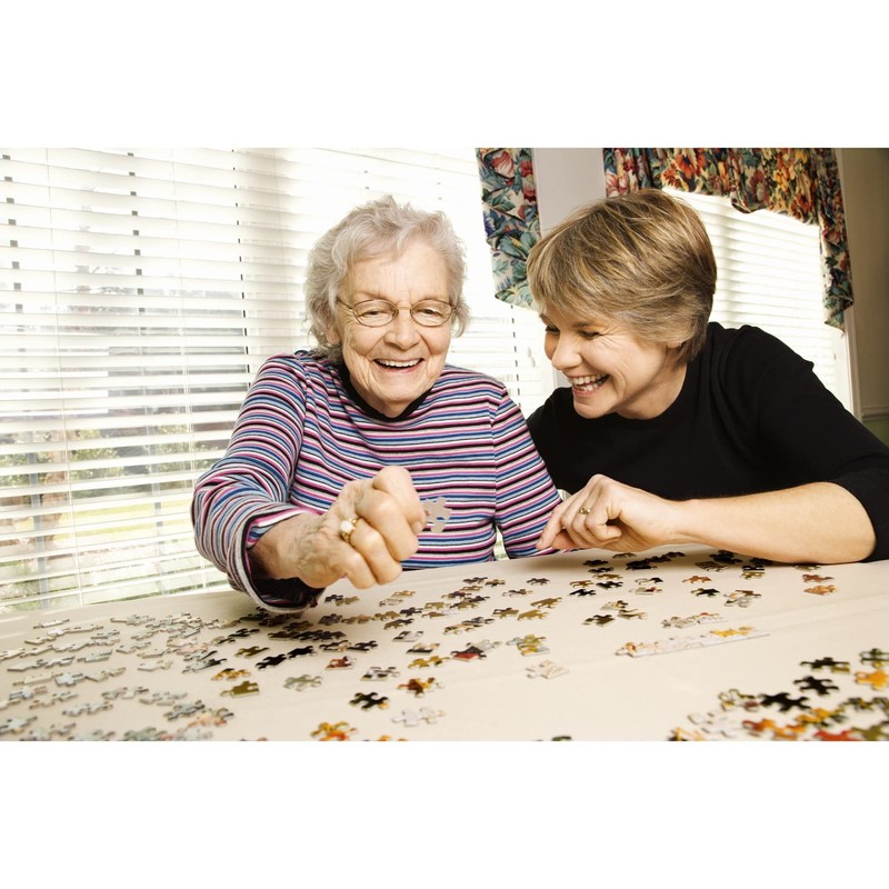 SUNSOUT INC - Grand Piano Cat - 1000 pc Jigsaw