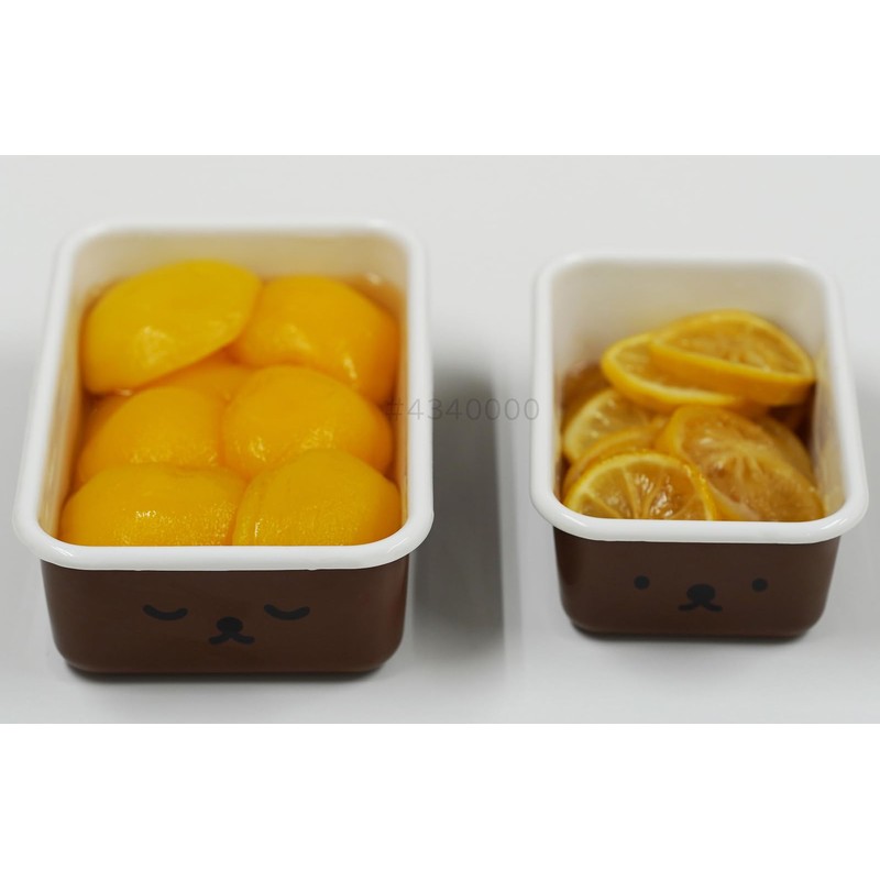 Fuji Horo Shallow Square Container, Storage Container, Set of 2,
