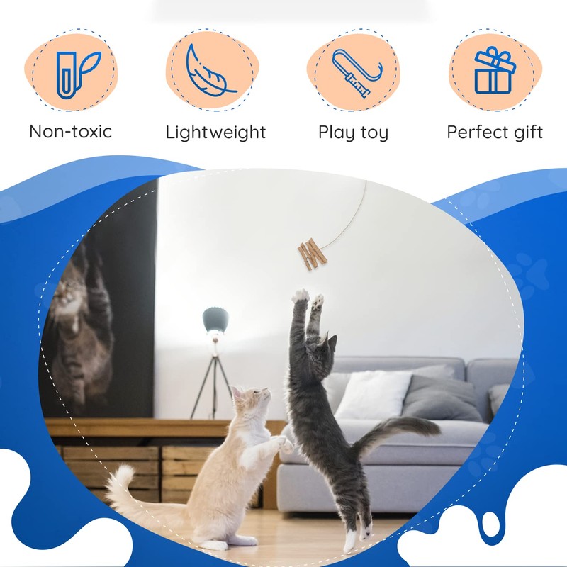 Cat Dancer Interactive Cat Toy - Fun and Fitness for