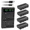 Kastar 4-Pack NP-F550 / NP-F570 Battery and LTD2 USB Charger