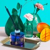 Xcleen Reed Diffuser Set, 6.7 Oz Hawaiian Holiday Scented Reed