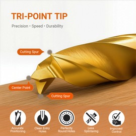 Hymnorq Brad Point Wood Twist Drill Bits 19PC Set, Metric Size 1mm to 10mm by 0.5mm in Metal Index Case, Titanium Coated High Speed Steel, for DIY Woodworking Carving Engraving Drilling