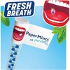 PaperMints Cool caps breath refreshers one box of 32 tubes
