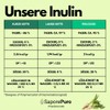 SaporePuro SaporePuro Inulin pulver 1 kg - aus Chicoree Wurzel