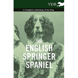 The English Springer Spaniel - A Complete Anthology of the Dog