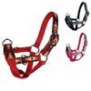 Tahoe Tack Nylon Overlay Sheep and Goat Training Halter with