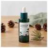 Round Lab Pine Tree Soothing Cica Ampoule 50ml x 1