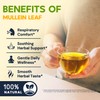 Hiihone Mullein Leaf Tea Bags for Lung Support, 20 Tea
