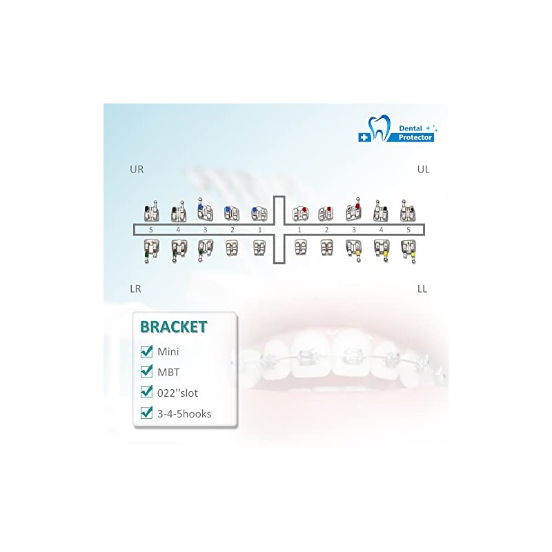 Protector Soportes dentales, 200 unidades/10 paquetes de Brackets de acero