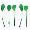 Green Stripped Coque Style Feathers x 5, Fascinators, Weddings -