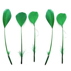 Green Stripped Coque Style Feathers x 5, Fascinators, Weddings - 6 inches Approx by GC