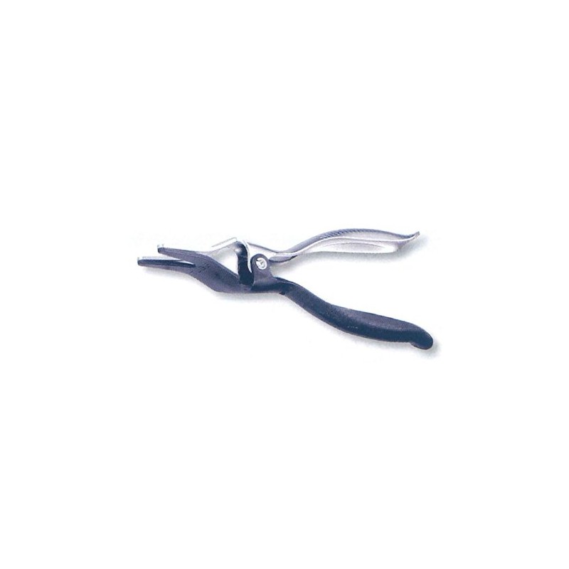 Aston Martin Cygnet ho-surimu-ba- 46970