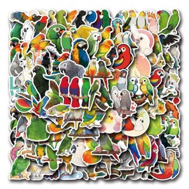 100 Pieces Kawaii Cartoon Parrot Stickers for Water Bottle|Vinyl Waterproof Sticker for Laptop Skateboard Phone Car Decals for Teens Adults for Party Favors Supplies Decor (Parrots Bird Stickers)