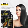 Shampoo Para Canas 500ml Natural Jengibre Tinte Cubre Canas