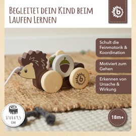 Bieco Pull Along Hedgehog Wooden Toy from 1 Year Old Cute Pull Along Animal with Gear Baby Toy for Pull Along