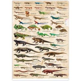 The Access Clear File Lizard Encyclopedia Aquarium A4