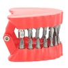 Denture Drill Bit Holder Denture Screwdriver Organizer 3D Sculpture Desk