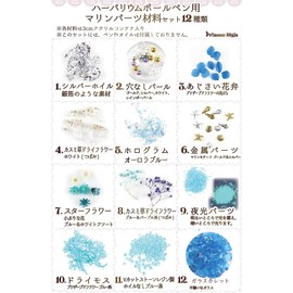 Princess-style Herbarium Ballpoint Pen Kit, Hobby, Crafts, Beads, Accessory Parts, Accessory Kit, Flower Material, Set of 4 (Marine)