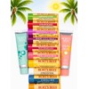 Burt's Bees Lip Balm Variety Pack -12 Count Assorted Flavors,