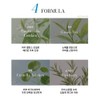 바이아우어 티트리 프레쉬 청소년 트리트먼트, 1L, 1개 Baiour Tea Tree