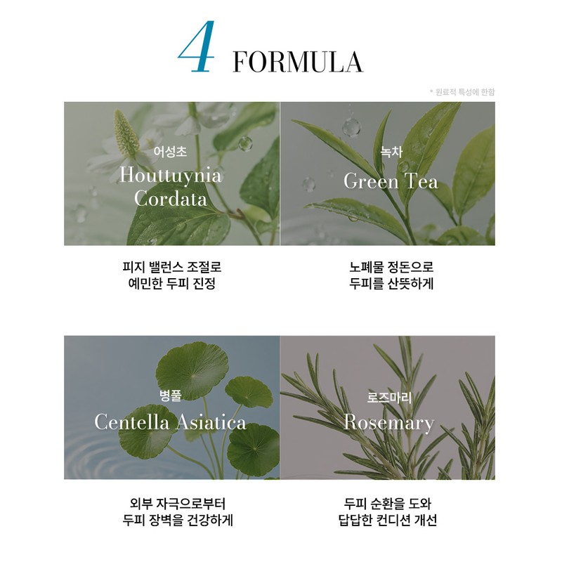 바이아우어 티트리 프레쉬 청소년 트리트먼트, 1L, 1개 Baiour Tea Tree