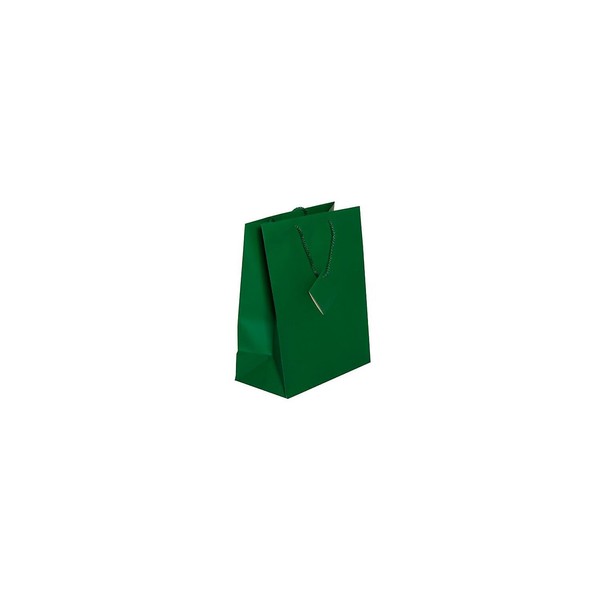 JAM Paper Gift Bags with Rope Handles - Large - 10 x 13 x 5 - Green Matte - 3/Pack