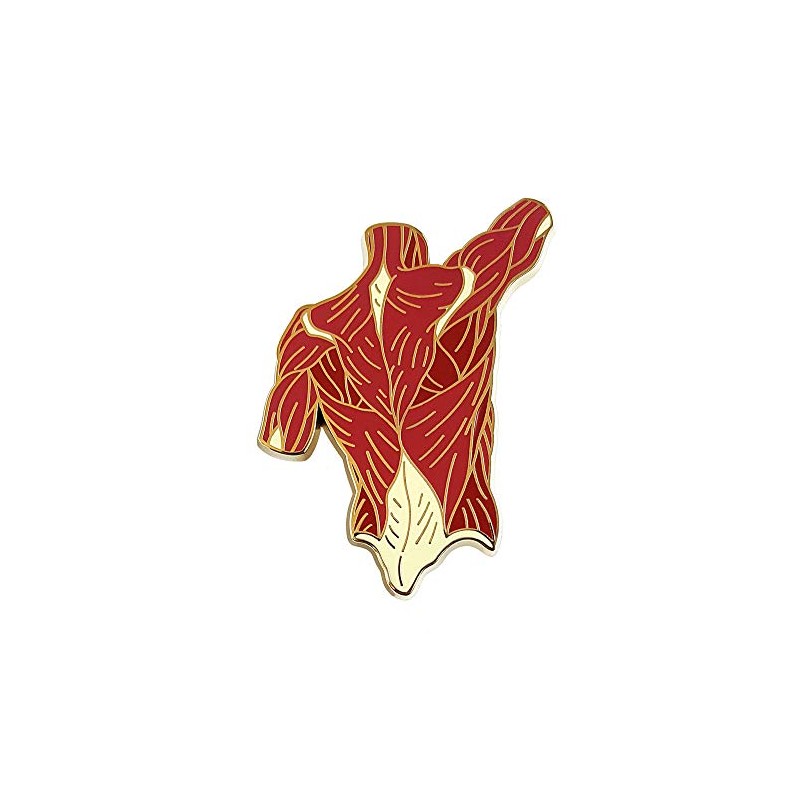 Pinsanity Back Torso Muscle Anatomy Enamel Lapel Pin