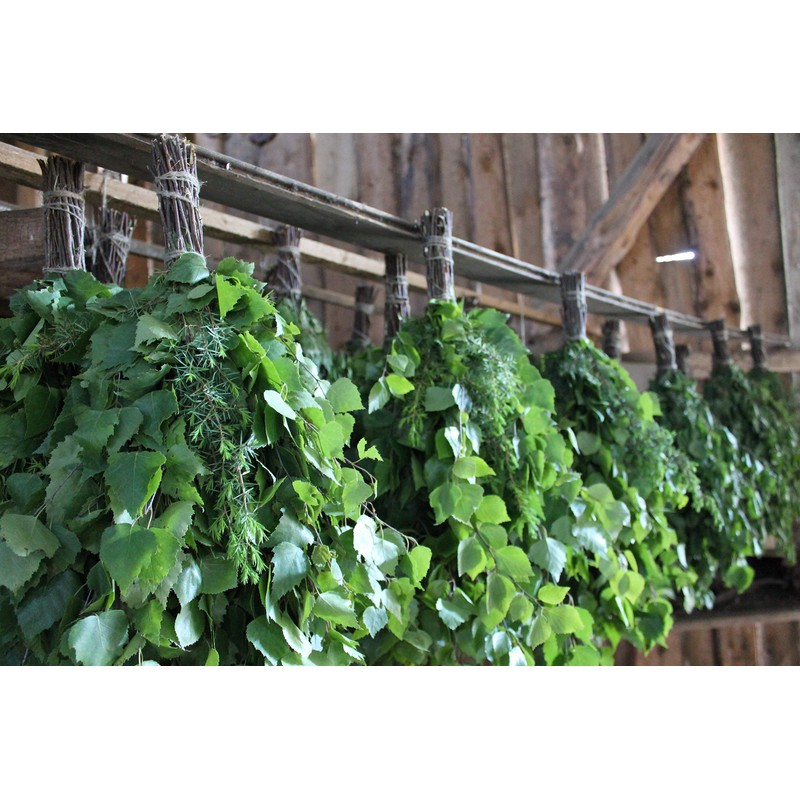 SaunaGoods Birch + Juniper Organic Sauna Whisk Made Banya Wenik