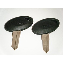 Bauer Camper Keys RV Keys Cut to Your Key Number from 301 to 330 Two Working ILCO Keys Trailer (306)