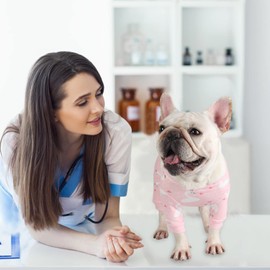 Etdane Dog Surgical Recovery Suit Pet After Surgery Onesies Long Sleeve for Female Male Doggy Alternative Cone E-Collar Pink Swan/XS