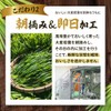 オーガランド 大麦若葉粉末 100g 朝摘み 大麦若葉粉末100% お徳用 鹿児島県産 青汁 農薬不使用 無添加