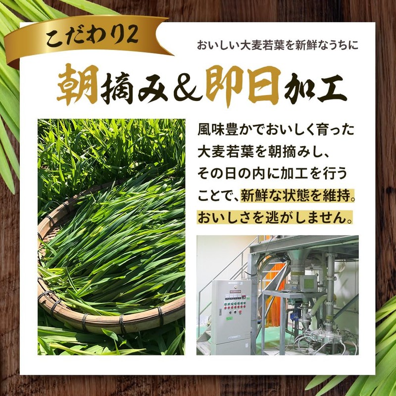 オーガランド 大麦若葉粉末 100g 朝摘み 大麦若葉粉末100% お徳用 鹿児島県産 青汁 農薬不使用 無添加