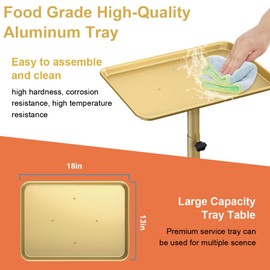 Salon Tray Cart, Salon Rolling Tray Adjustable Height, Tattoo Tray, SPA Rolling Trolley Tray for Beauty Hairstylist Dental Clinic,Champagne Gold