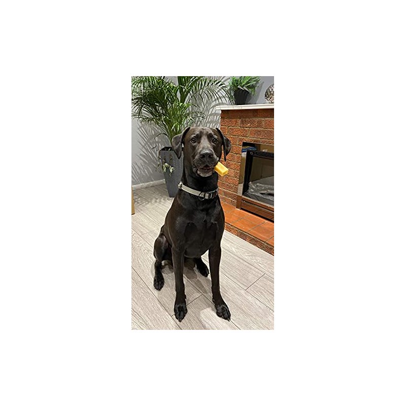 the K2 Yak chew the K2 Yak chew Dog Treats