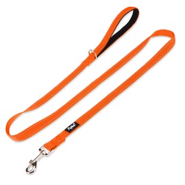 PUPTECK Reflective Dog Leash with Comfortable Padded Handle Durable Nylon Dog Lead for Small Medium and Large Dogs Cats Walking Running Training Outside, Orange