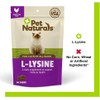 Pet Naturals of Vermont L-Lysine Fun-Shaped Chews for Cats