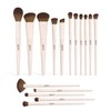 16Pcs Makeup Brush Set, Professional Face & Eye Makeup Brushes（Off