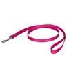 PetSafe Nylon Leash - Strong Nylon for Everyday Walks -