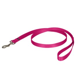 PetSafe Nylon Leash - Strong Nylon for Everyday Walks - Durable Pet Leash with Quick Attach Clip - Comfortable Soft Grip - 4 Feet - Raspberry Pink