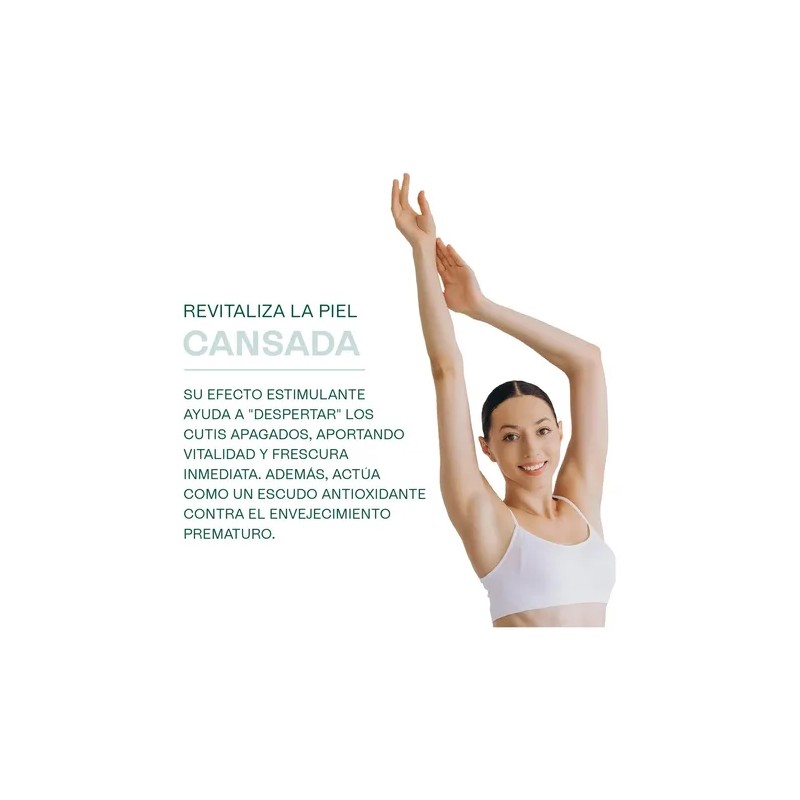 Hidrolato de Romero Hebbe Cosmetics 1 L para Piel Grasa