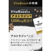 VitaBoost (バイタブースト) キバナオオギ茎葉エキス末 デンシチニンジンエキス末 亜鉛 黒胡椒 L-シトルリン L-アルギニン 内容量30粒 30日分