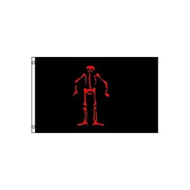 AZ FLAG - Flag Pirate Edward Lowe - 150 x 90 cm - Pirate Skull Flag 100% Polyester with Brass Eyelets - 110 g
