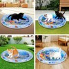 Inflatable Water Sensory Play Mat for Cats & Dogs –