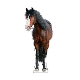 Life Size Cardboard Cutout Standup | Waterproof | Animals - Horse - Right - lifesize