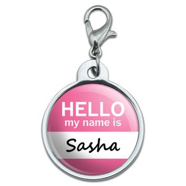 Graphics and More Chrome Plated Metal Small Pet ID Dog Cat Tag Hello My Name is SA-SI - Sasha