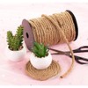 Natural Jute Twine Rope for Crafting (Brown, 100 ft)