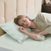 ACCURATEX Cooling Memory Foam Pillows for Sleeping Queen Size Set