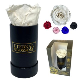 Eternal Blossom Preserved Real Infinity Rose | Eternal Rose That Lasts Over A Year | Black Box | With Gift Box (Lace White)