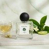 Light and fresh green tea scent [Green tea] - 30ml