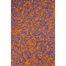 SPRINKLY - Matt Sugar Strands - Purple & Orange - 150g